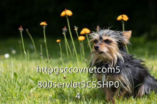 httpgsccovnetcom5800servletSCSSHP04