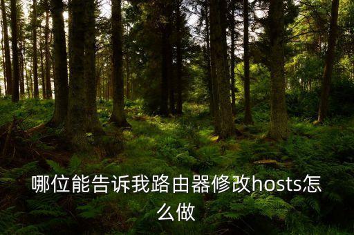 哪位能告訴我路由器修改hosts怎么做