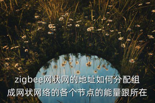 網(wǎng)狀網(wǎng)，cc2530 可以組建網(wǎng)狀網(wǎng)嗎 該怎么組建呢