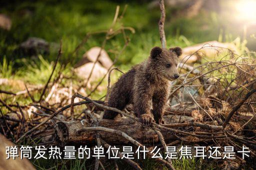 彈筒發(fā)熱量的單位是什么是焦耳還是卡
