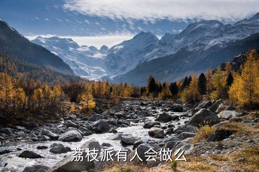 荔枝派有人會(huì)做么