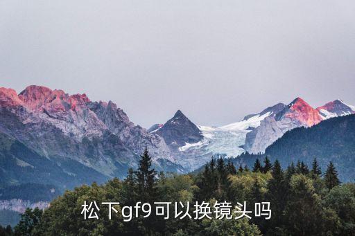 松下gf9，松下gf9可以換鏡頭嗎
