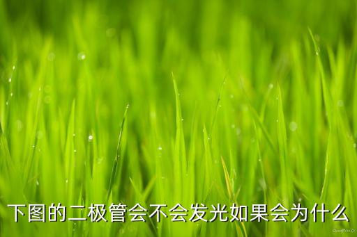 二極管圖片，二極管是什么