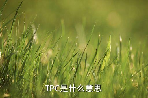 tpc是什么意思，TPC是什么意思