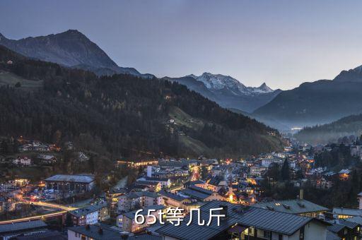tpds，鐵路車輛5T系統(tǒng)設(shè)備包含哪些設(shè)備