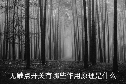 無觸點(diǎn)開關(guān)有哪些作用原理是什么