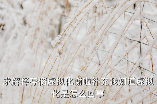 求解釋存儲(chǔ)虛擬化謝啦補(bǔ)充我知道虛擬化是怎么回事