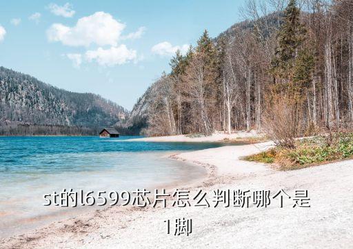 l6599，創(chuàng)維液晶電視電源l6599d不啟動