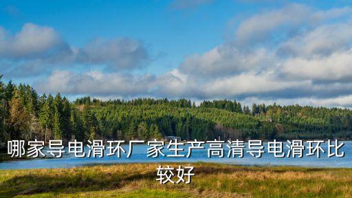 哪家導(dǎo)電滑環(huán)廠家生產(chǎn)高清導(dǎo)電滑環(huán)比較好