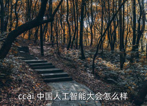 ccai 中國人工智能大會(huì)怎么樣