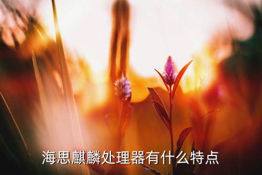 海思麒麟處理器有什么特點