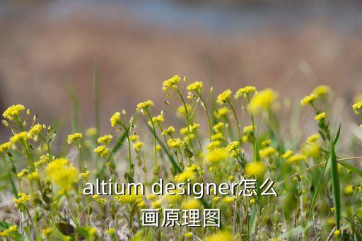原理圖怎么畫，怎么用AUTO CAD畫電氣原理圖