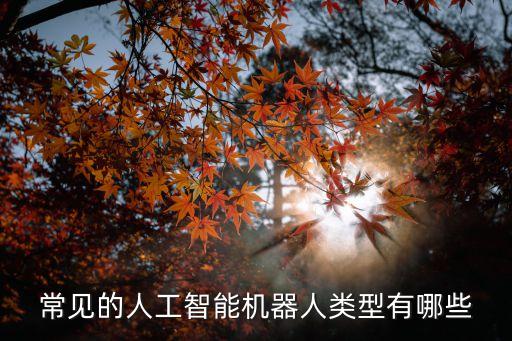 常見的人工智能機(jī)器人類型有哪些
