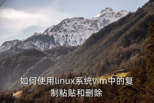 如何使用linux系統(tǒng)vim中的復(fù)制粘貼和刪除