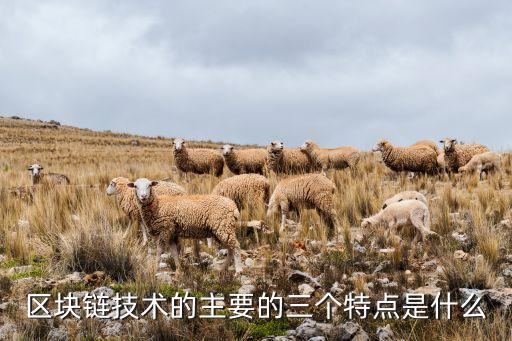 區(qū)塊鏈技術的主要的三個特點是什么
