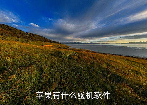 蘋(píng)果手機(jī)檢測(cè)軟件，什么軟件可以檢查iPhone5s所有硬件是否是好的