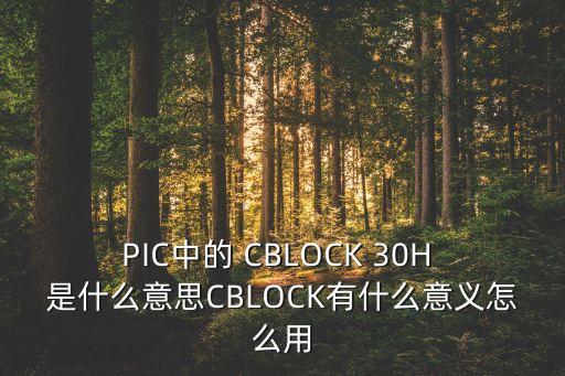 PIC中的 CBLOCK 30H 是什么意思CBLOCK有什么意義怎么用