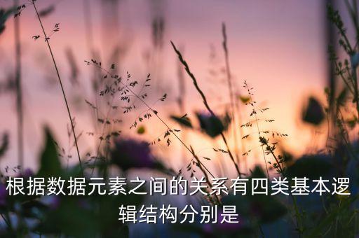 根據(jù)數(shù)據(jù)元素之間的關(guān)系有四類基本邏輯結(jié)構(gòu)分別是