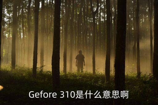 升騰310，Gefore 310是什么意思啊