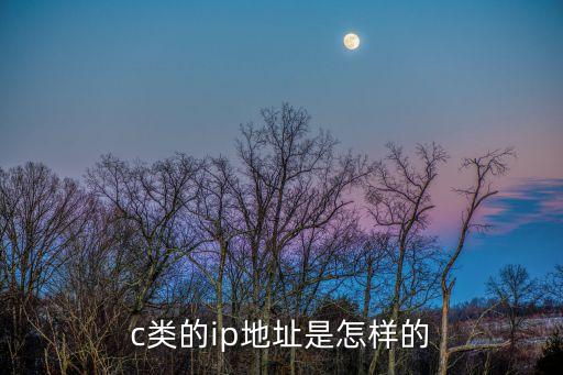 c類(lèi)的ip地址是怎樣的