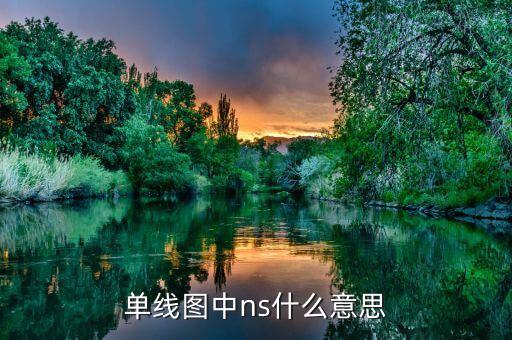 ns圖，ns圖vfp請問NS圖是什么