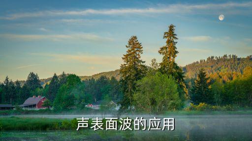 聲表面波的應(yīng)用