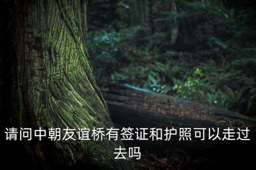請問中朝友誼橋有簽證和護照可以走過去嗎