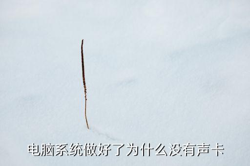 無聲卡，電腦系統(tǒng)做好了為什么沒有聲卡