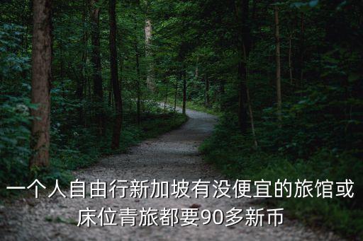 一個人自由行新加坡有沒便宜的旅館或床位青旅都要90多新幣