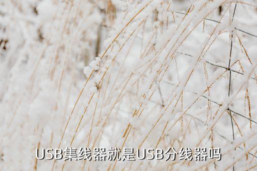 USB集線器就是USB分線器嗎