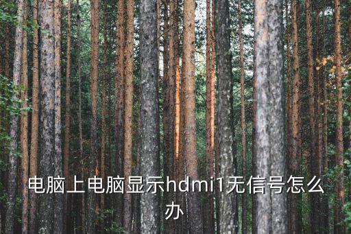 電腦上電腦顯示hdmi1無信號怎么辦