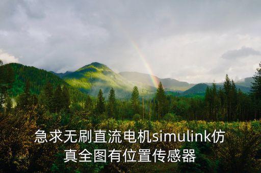 急求無(wú)刷直流電機(jī)simulink仿真全圖有位置傳感器