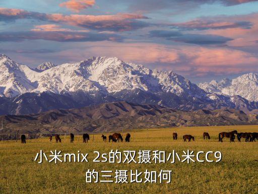 小米mix 2s的雙攝和小米CC9的三攝比如何