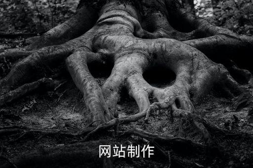 網(wǎng)站制作