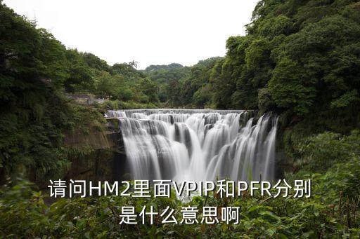 請問HM2里面VPIP和PFR分別是什么意思啊