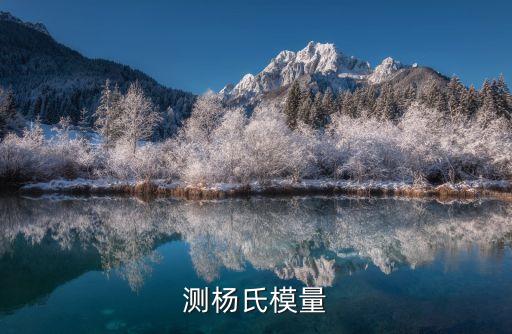 測楊氏模量