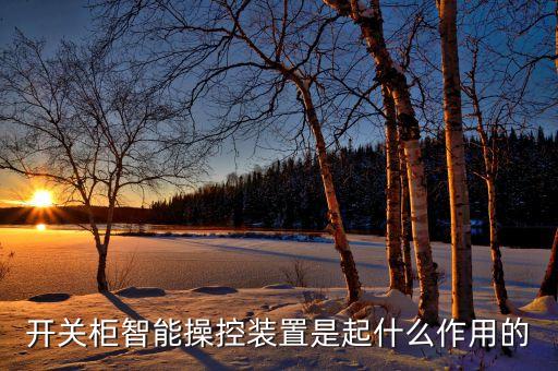 開(kāi)關(guān)柜智能操控裝置是起什么作用的