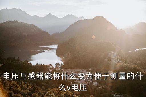 電壓互感器能將什么變?yōu)楸阌跍y(cè)量的什么v電壓