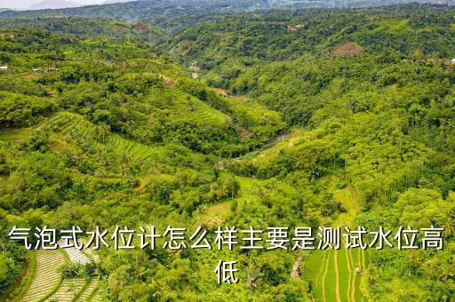 氣泡式水位計(jì)怎么樣主要是測(cè)試水位高低
