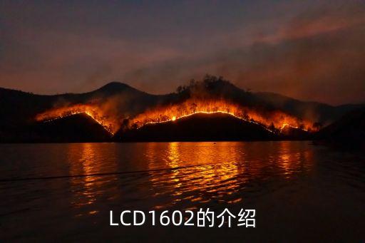 LCD1602的介紹