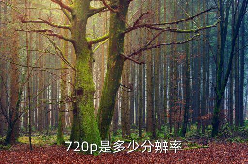 720p是多少分辨率