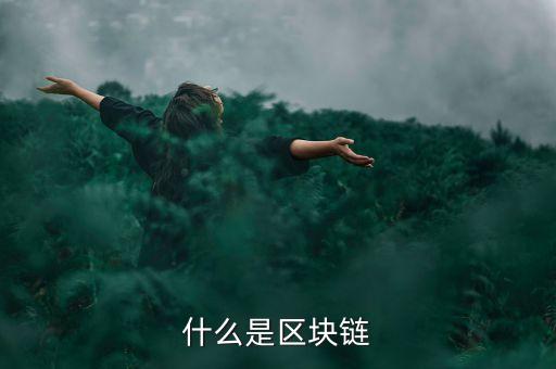 什么是區(qū)塊鏈