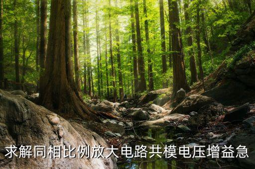求解同相比例放大電路共模電壓增益急