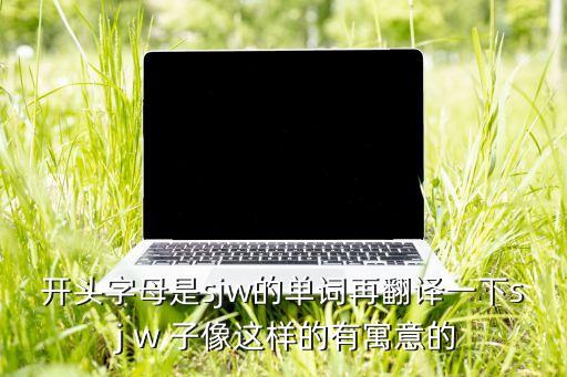 開頭字母是sjw的單詞再翻譯一下s j w 子像這樣的有寓意的