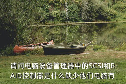 請問電腦設(shè)備管理器中的SCSI和RAID控制器是什么缺少他們電腦有