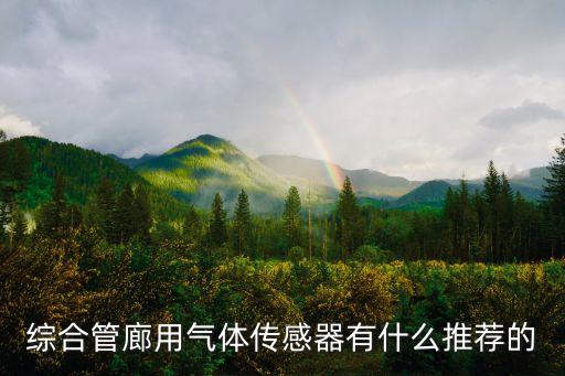智慧管廊，綜合管廊用氣體傳感器有什么推薦的