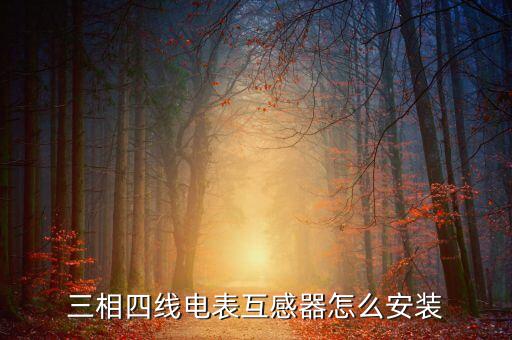 三相四線電表互感器怎么安裝
