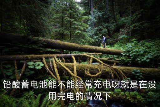 鉛酸蓄電池能不能經(jīng)常充電呀就是在沒用完電的情況下