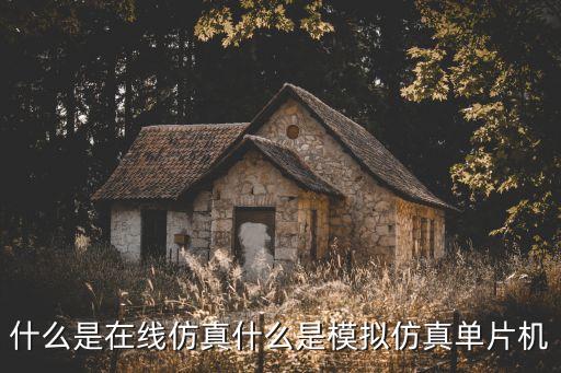 什么是在線仿真什么是模擬仿真單片機(jī)