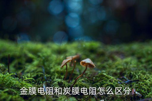 金膜電阻和炭膜電阻怎么區(qū)分